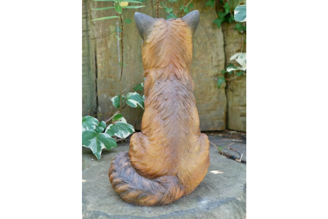 Fox