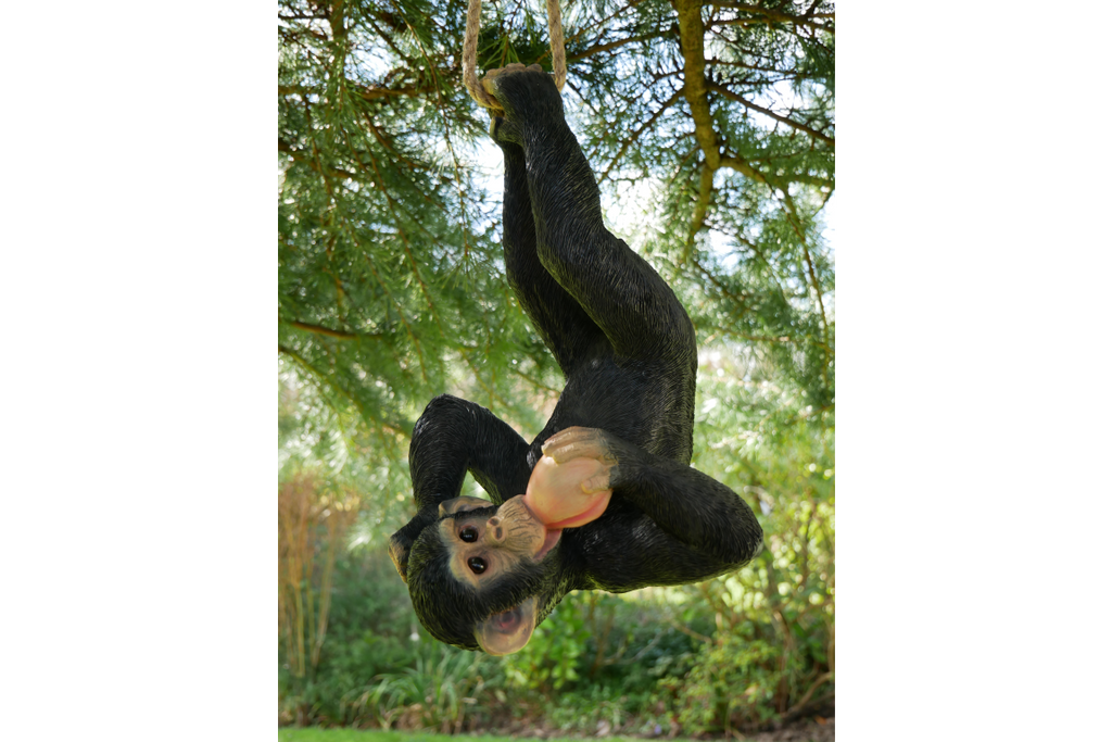 Climbing Monkey