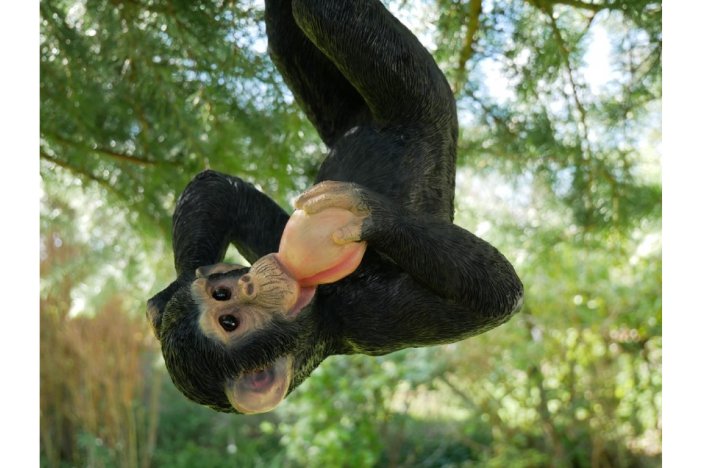 Climbing Monkey