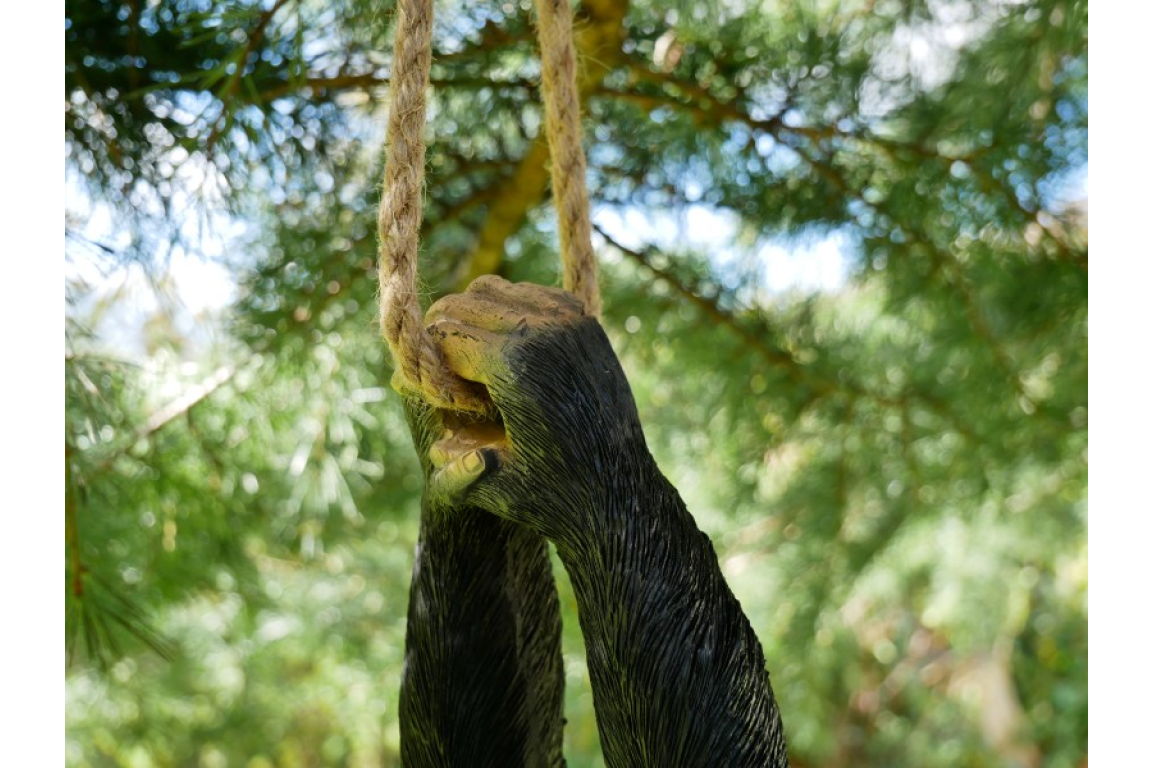 Climbing Monkey