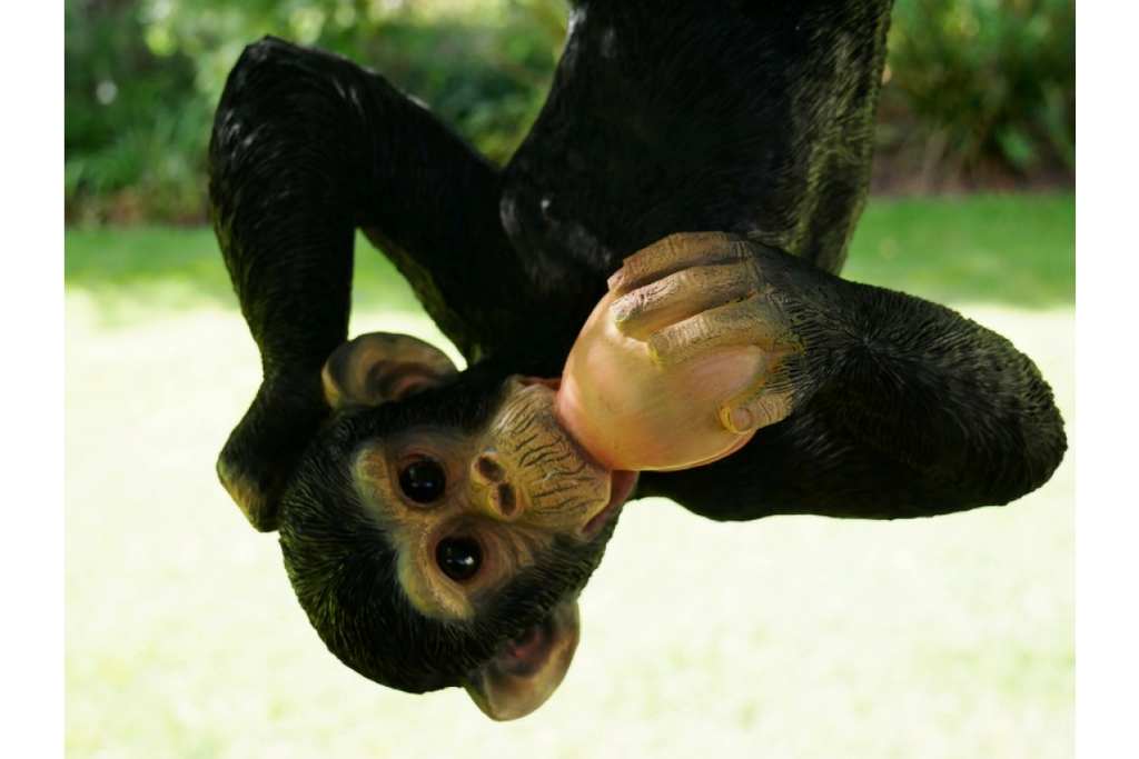 Climbing Monkey