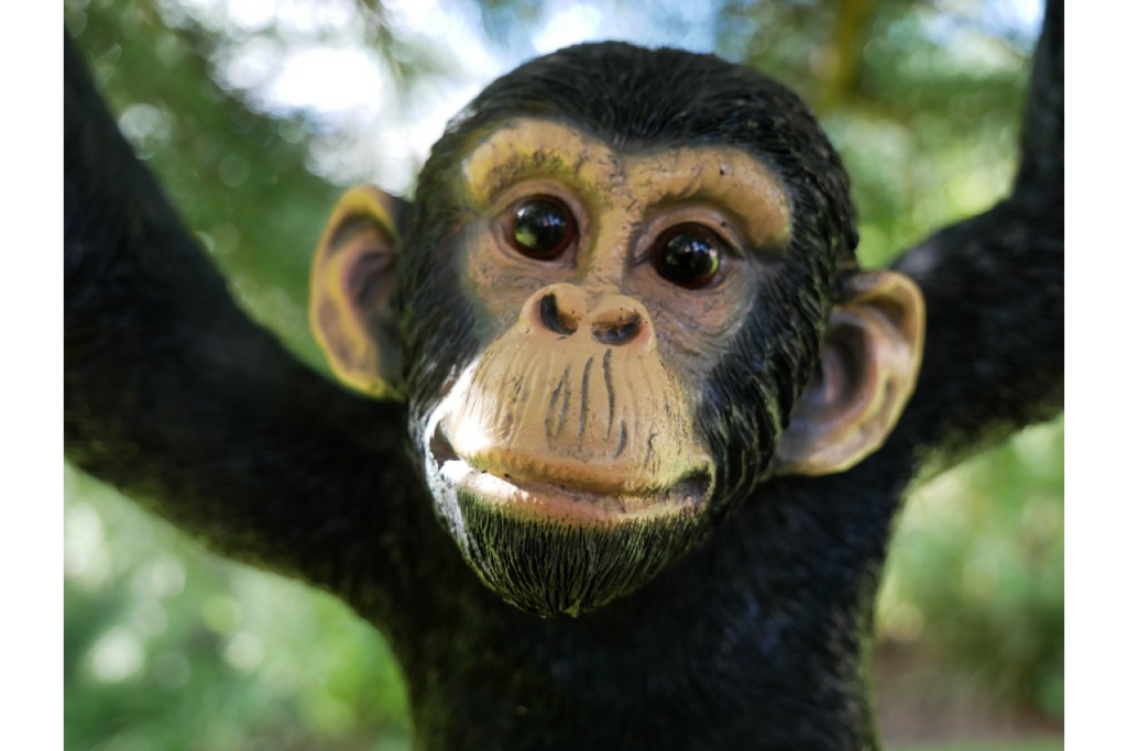 Climbing Monkey