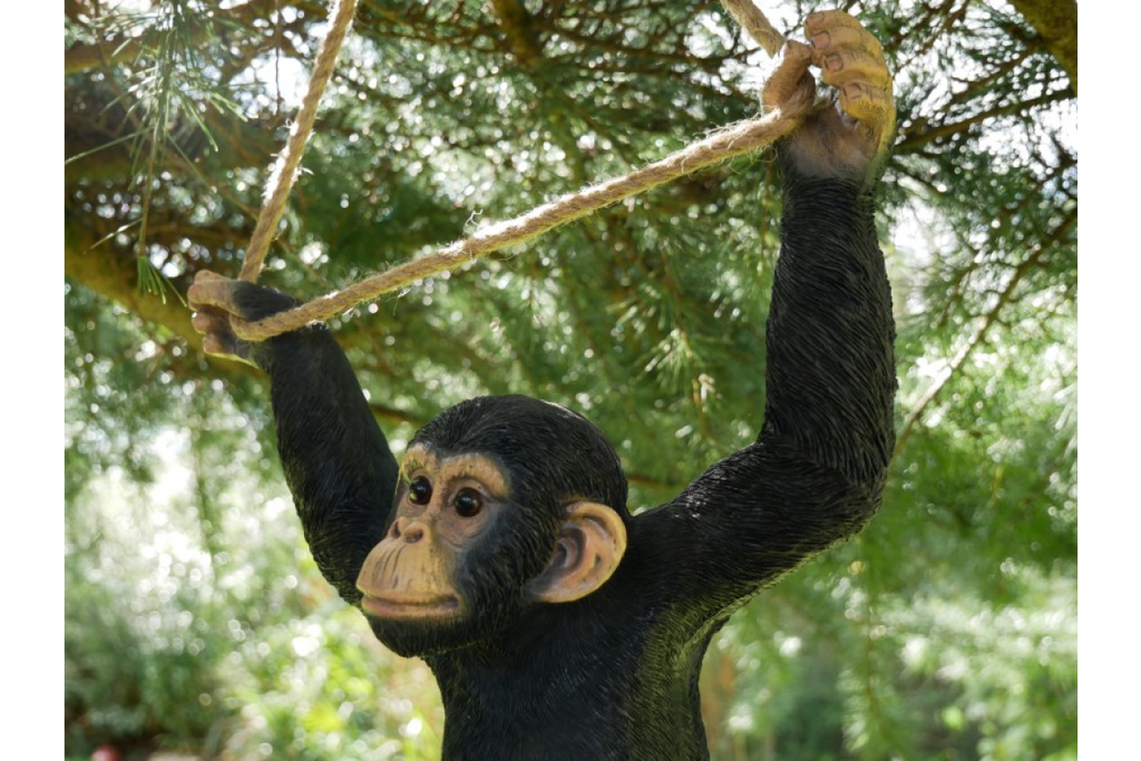 Climbing Monkey