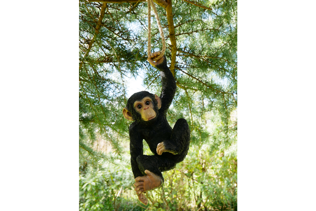 Climbing Monkey