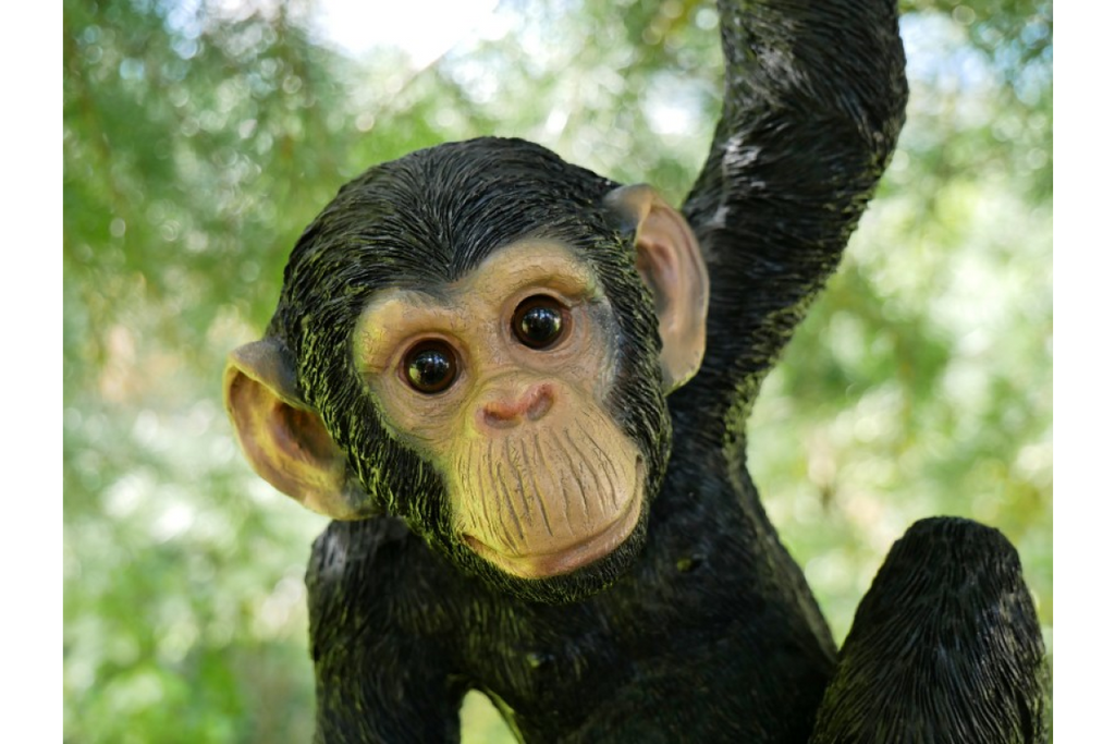 Climbing Monkey