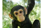 Climbing Monkey