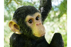Climbing Monkey