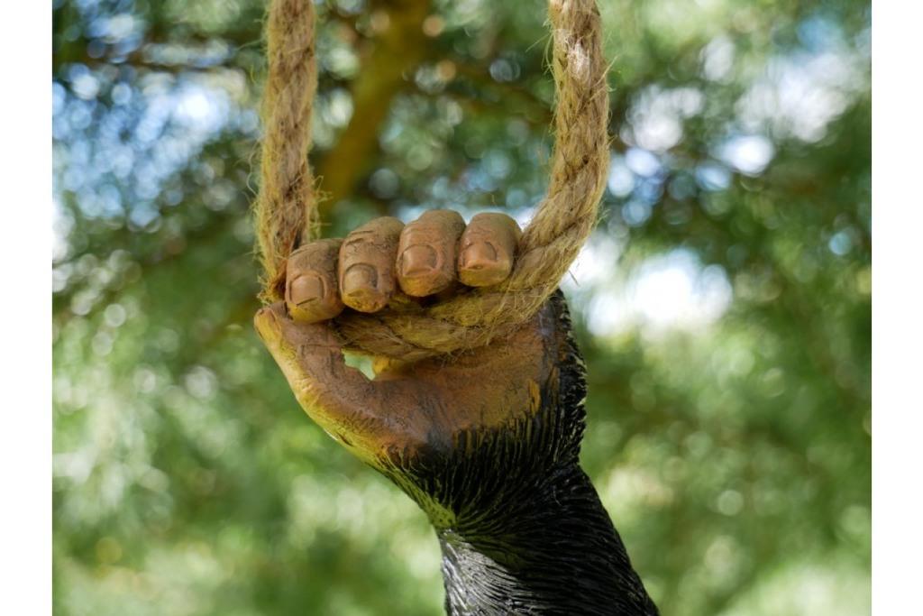 Climbing Monkey