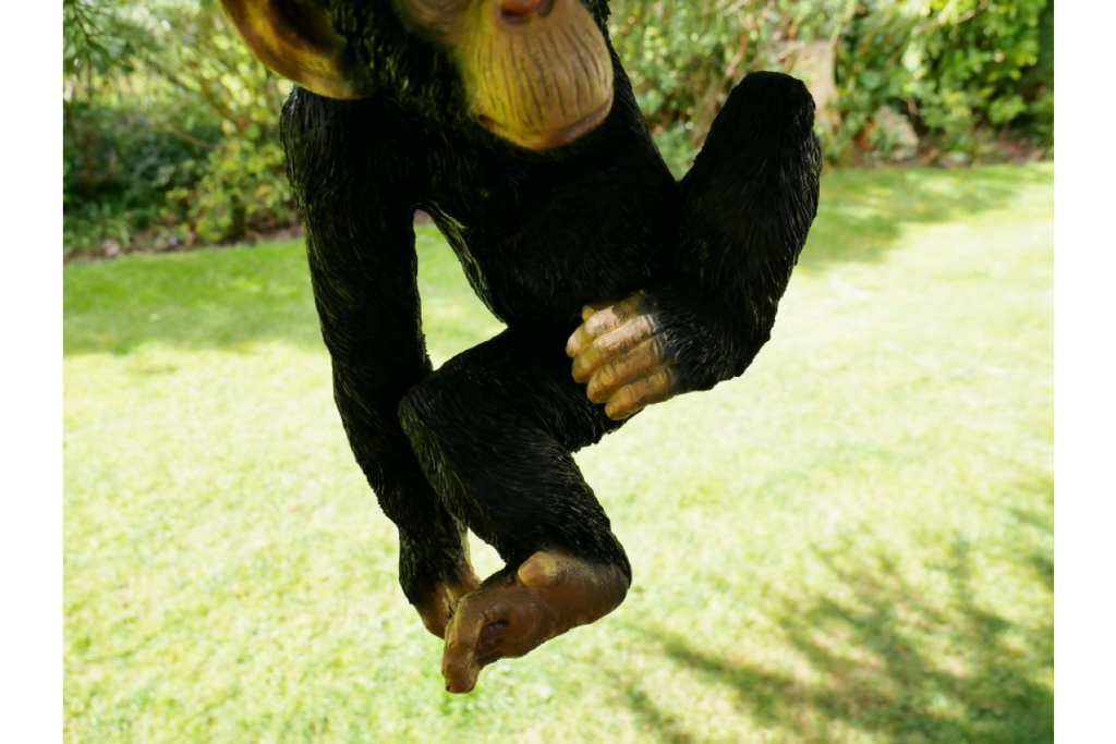 Climbing Monkey