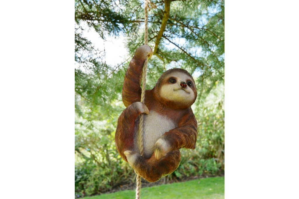 Climbing Sloth