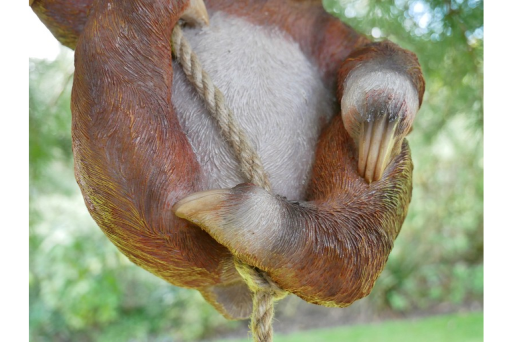 Climbing Sloth