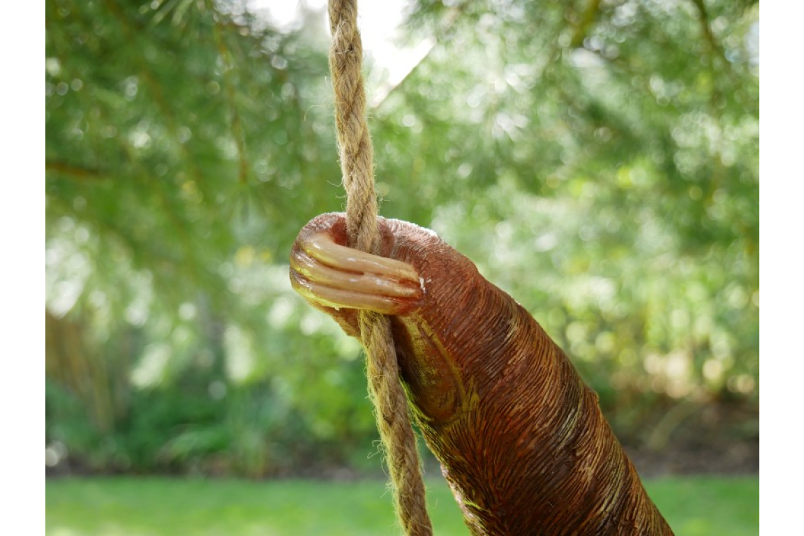 Climbing Sloth