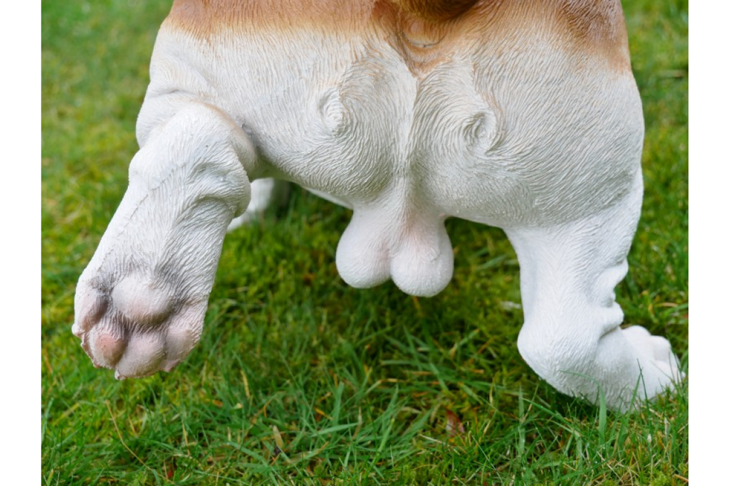 Bulldog