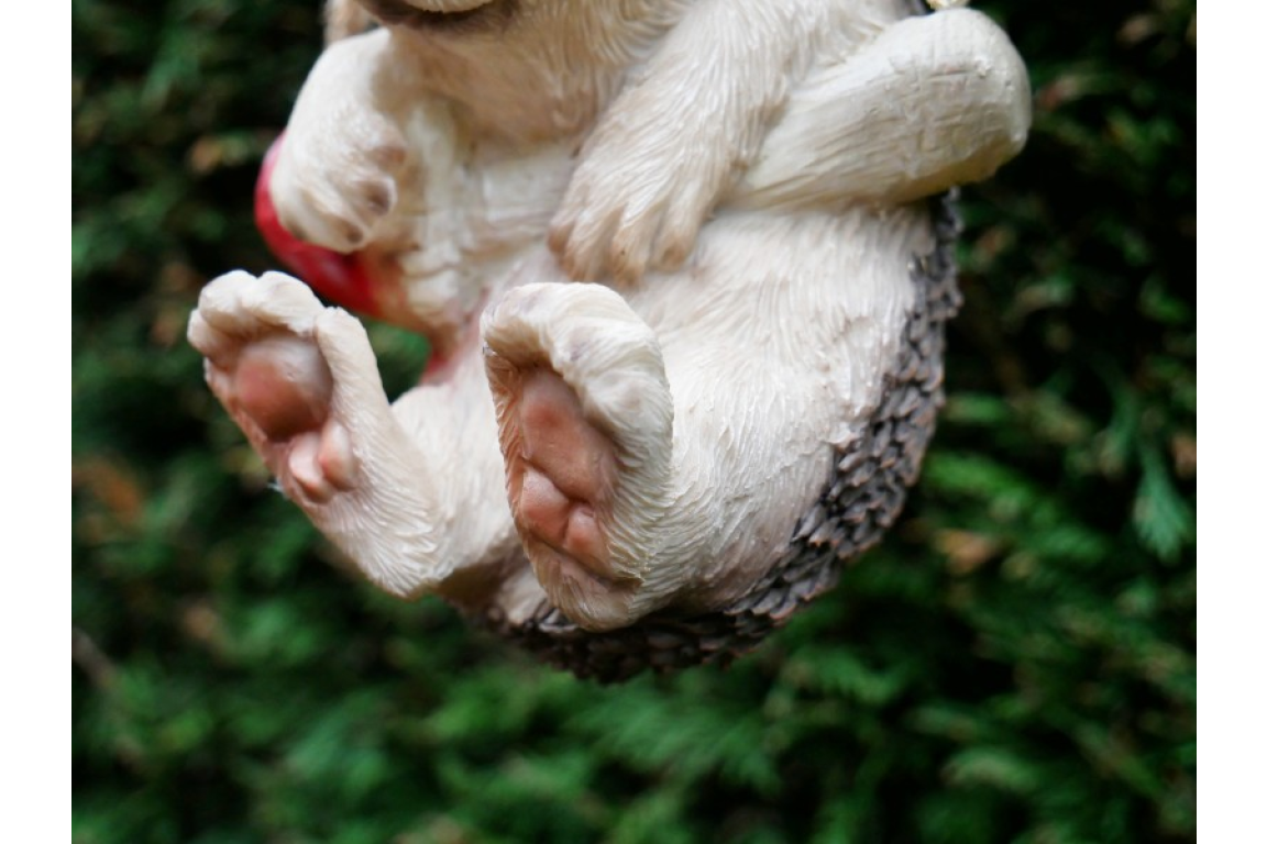 Hanging Hedgehog