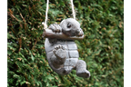 Hanging Tortoise