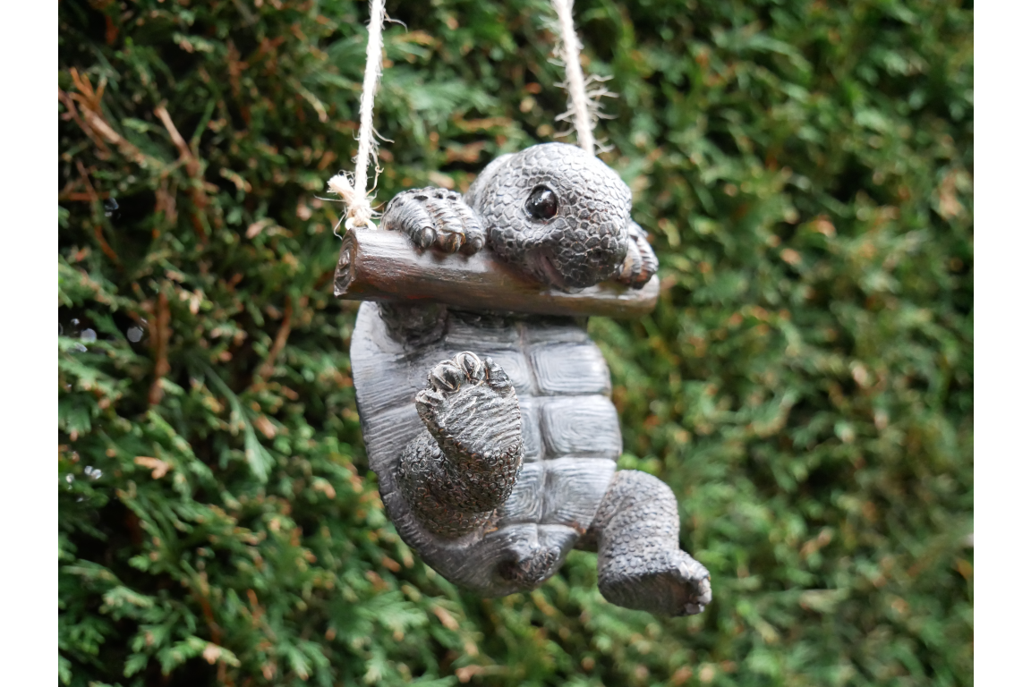 Hanging Tortoise