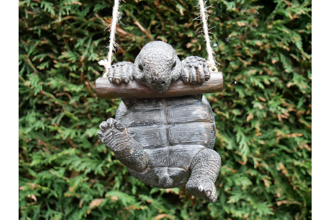 Hanging Tortoise