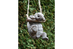 Hanging Tortoise