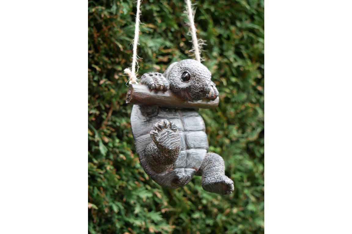 Hanging Tortoise