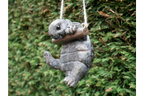 Hanging Tortoise