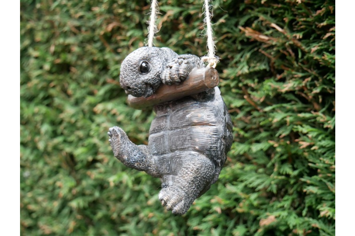 Hanging Tortoise