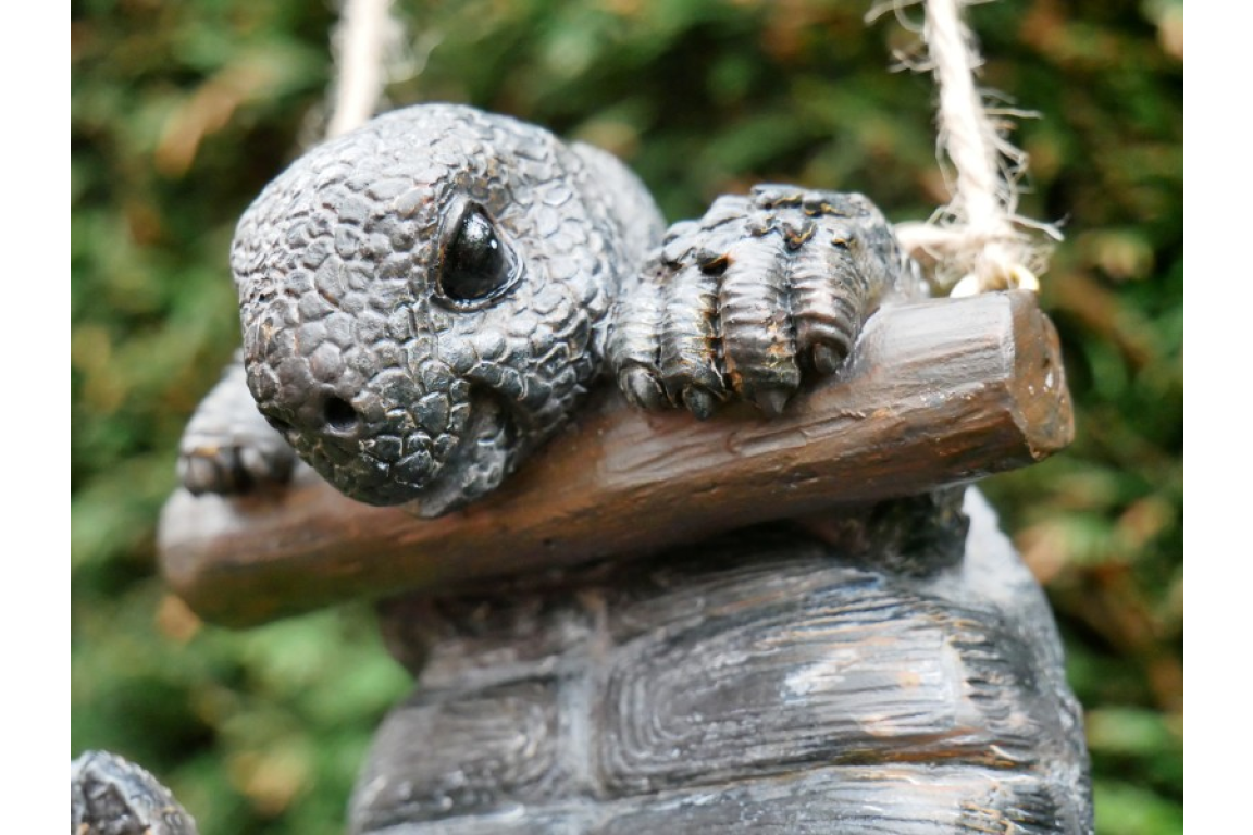 Hanging Tortoise