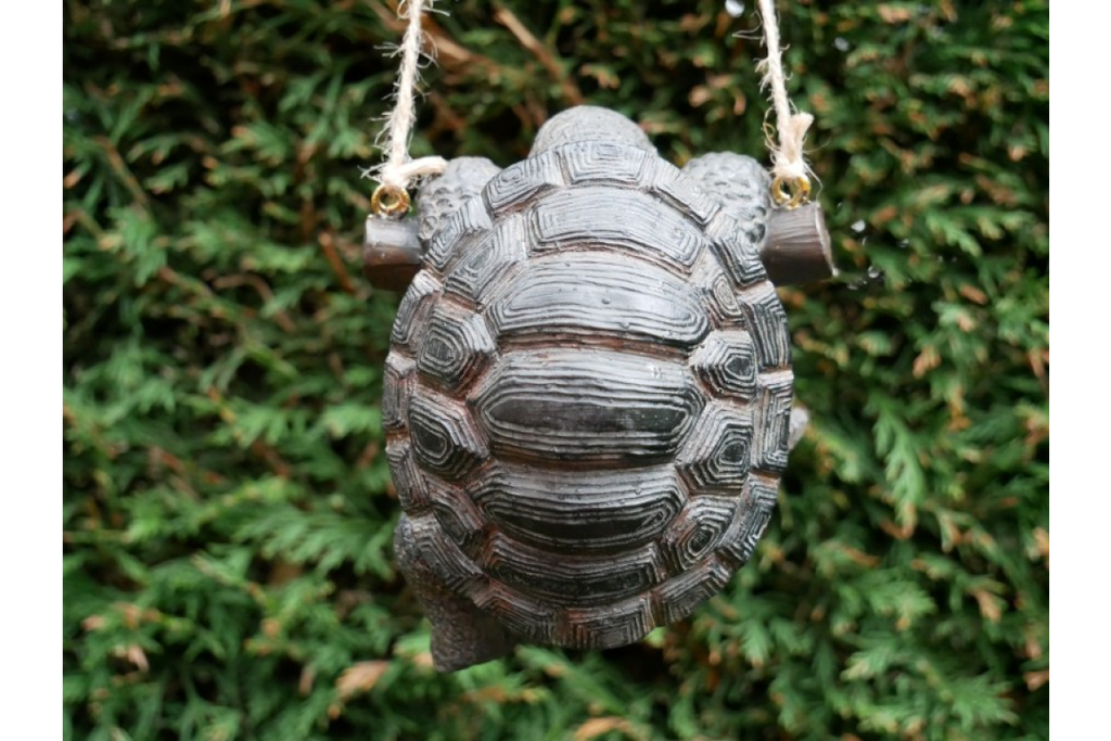 Hanging Tortoise