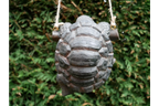 Hanging Tortoise
