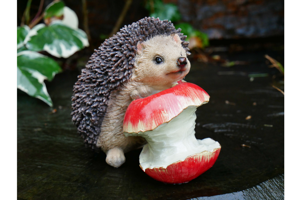 Hedgehog