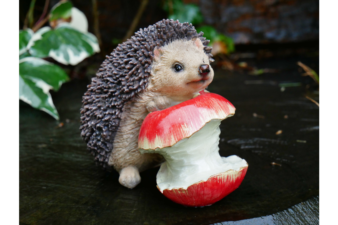Hedgehog