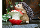 Hedgehog