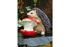 Hedgehog