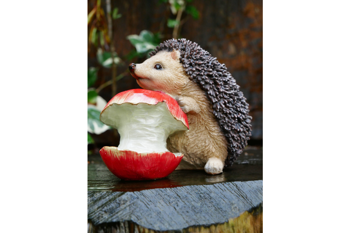 Hedgehog