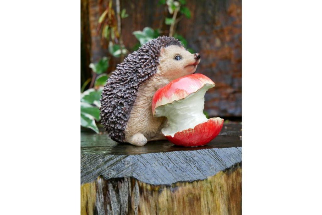 Hedgehog