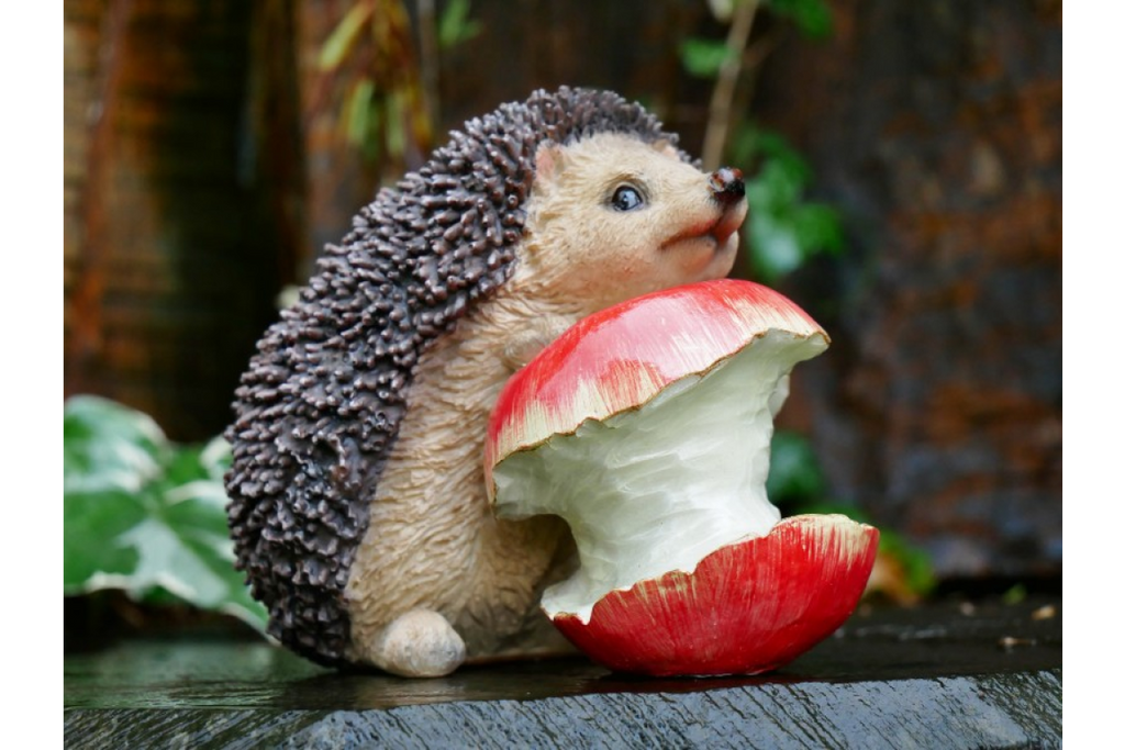 Hedgehog