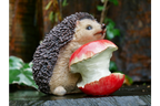 Hedgehog
