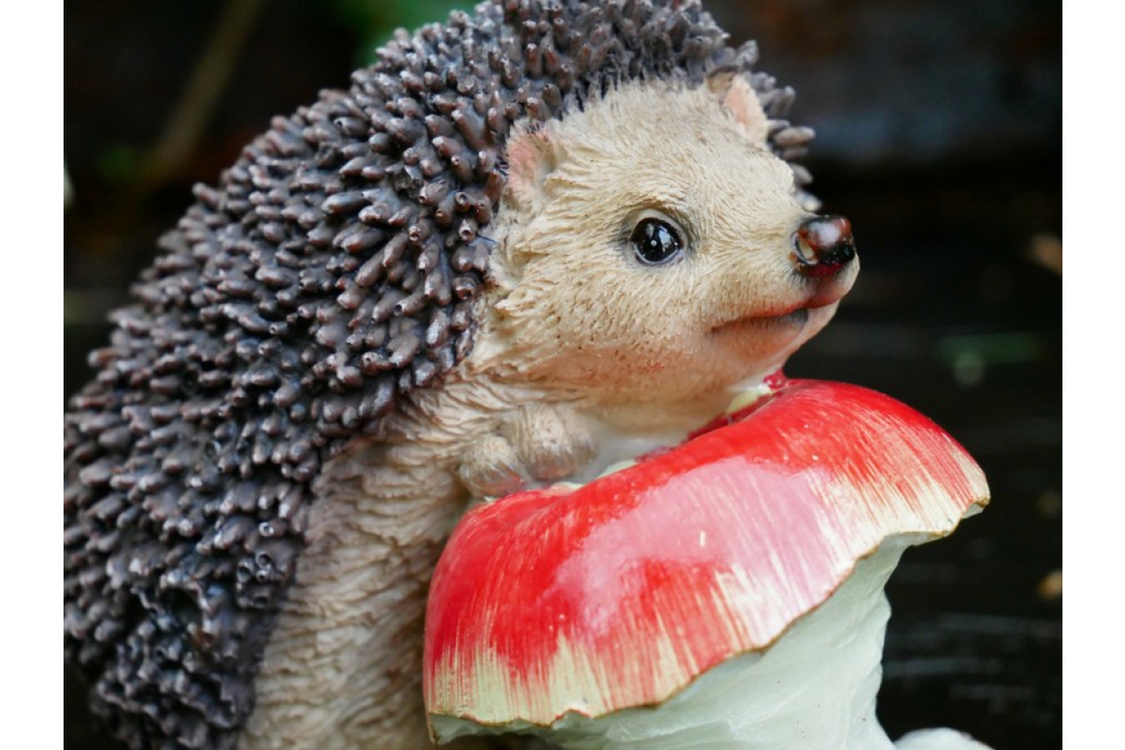 Hedgehog