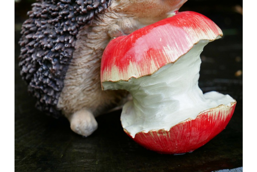 Hedgehog