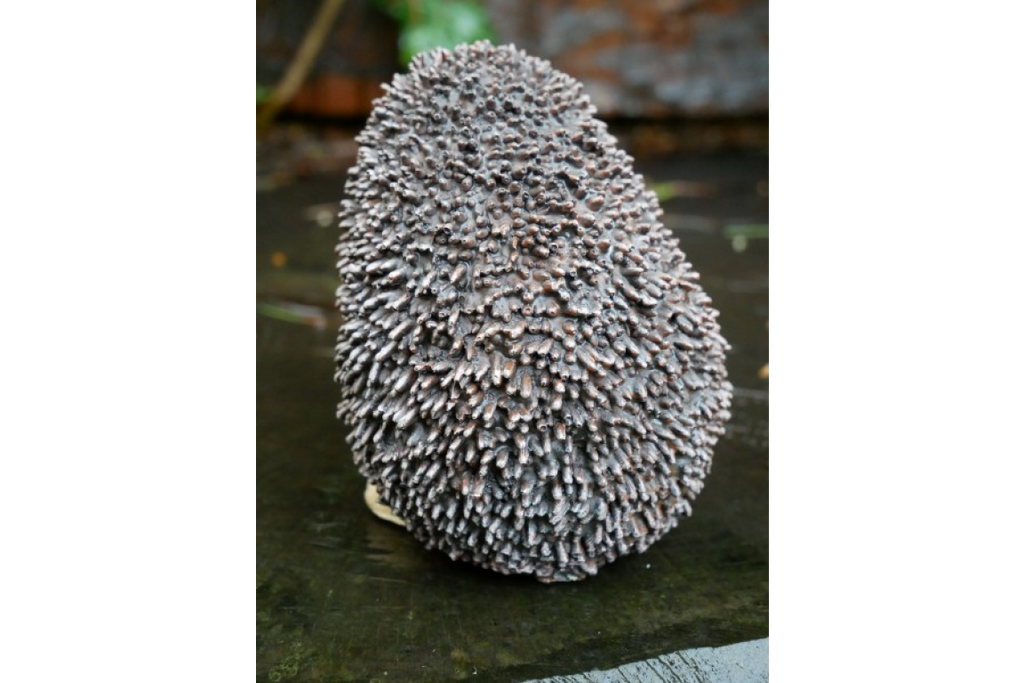 Hedgehog