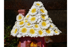 Fairy House In A Shoe