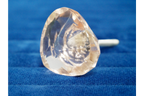 Cabinet Knob/Handle