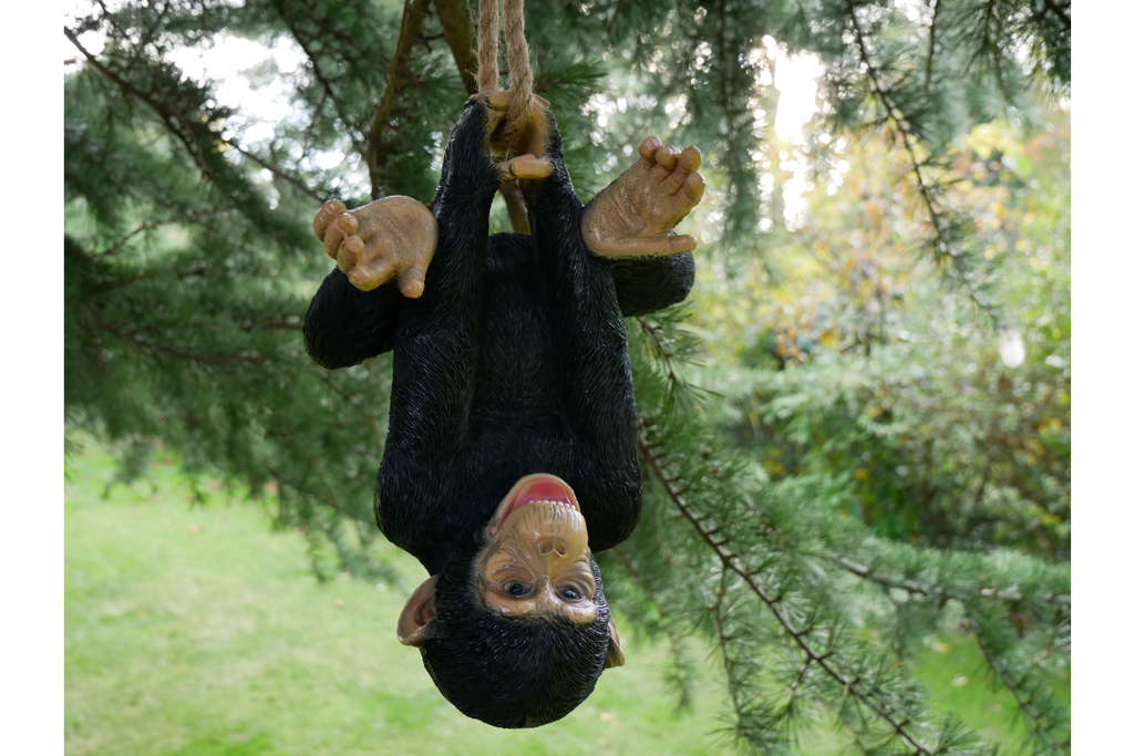 Climbing Monkey