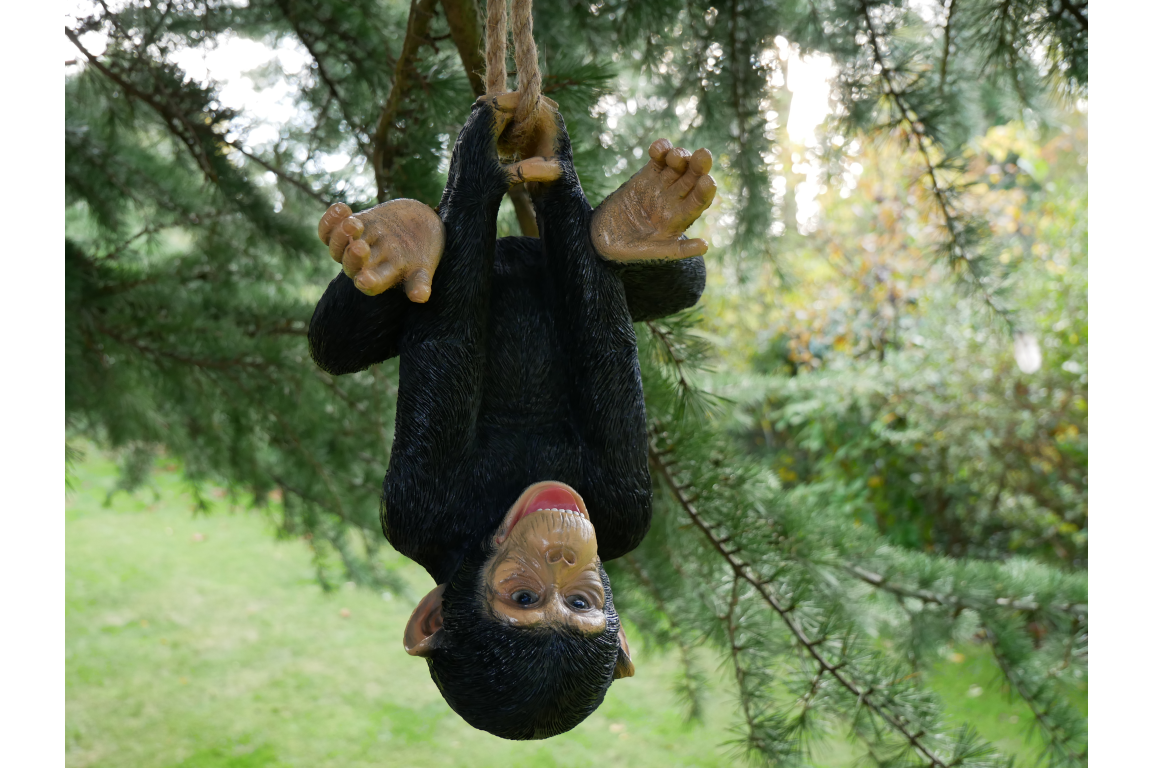 Climbing Monkey