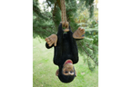 Climbing Monkey