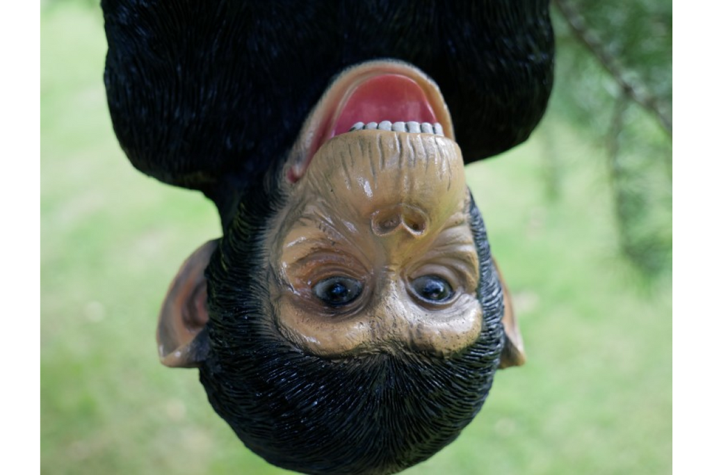 Climbing Monkey