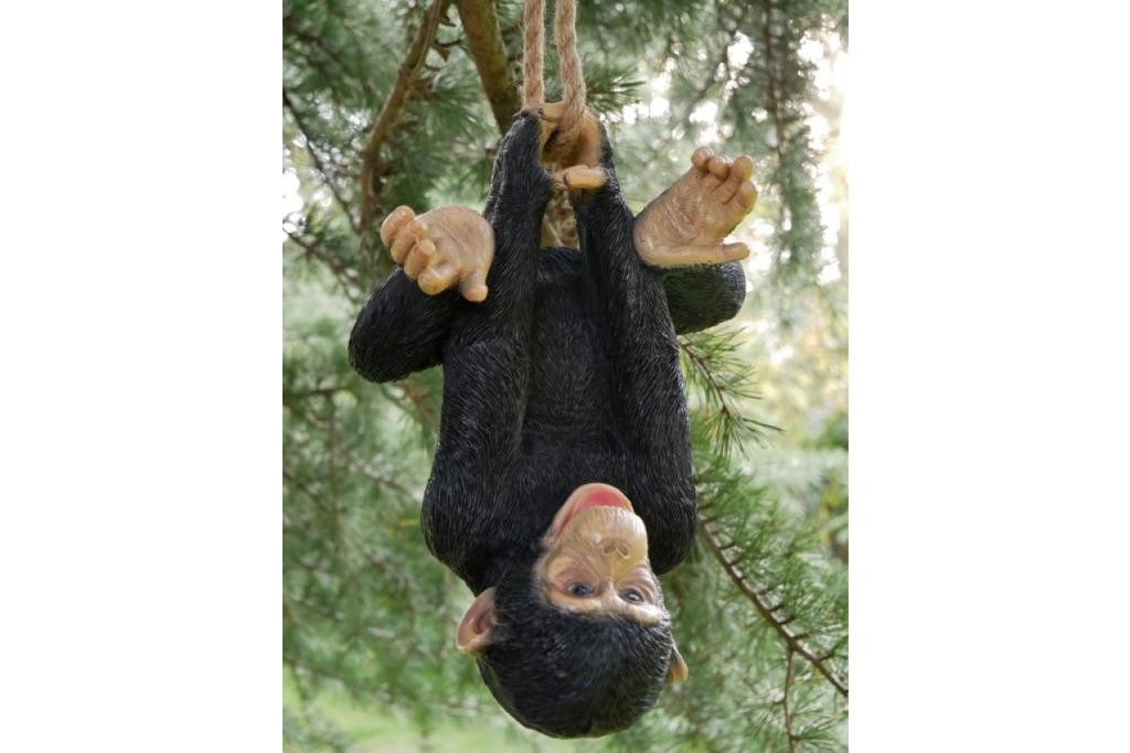 Climbing Monkey