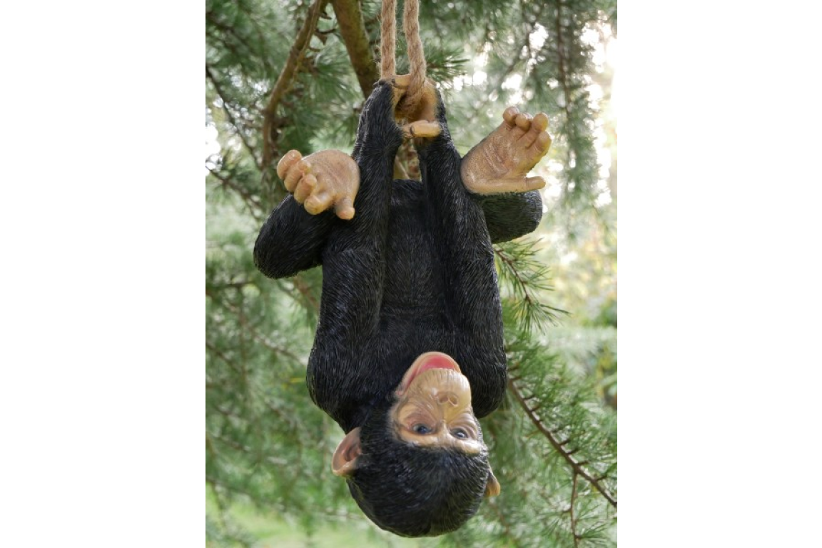 Climbing Monkey