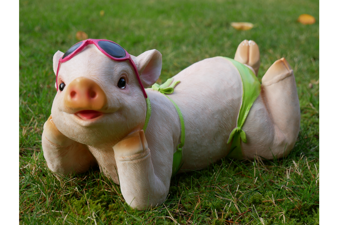 Pig In Bikini