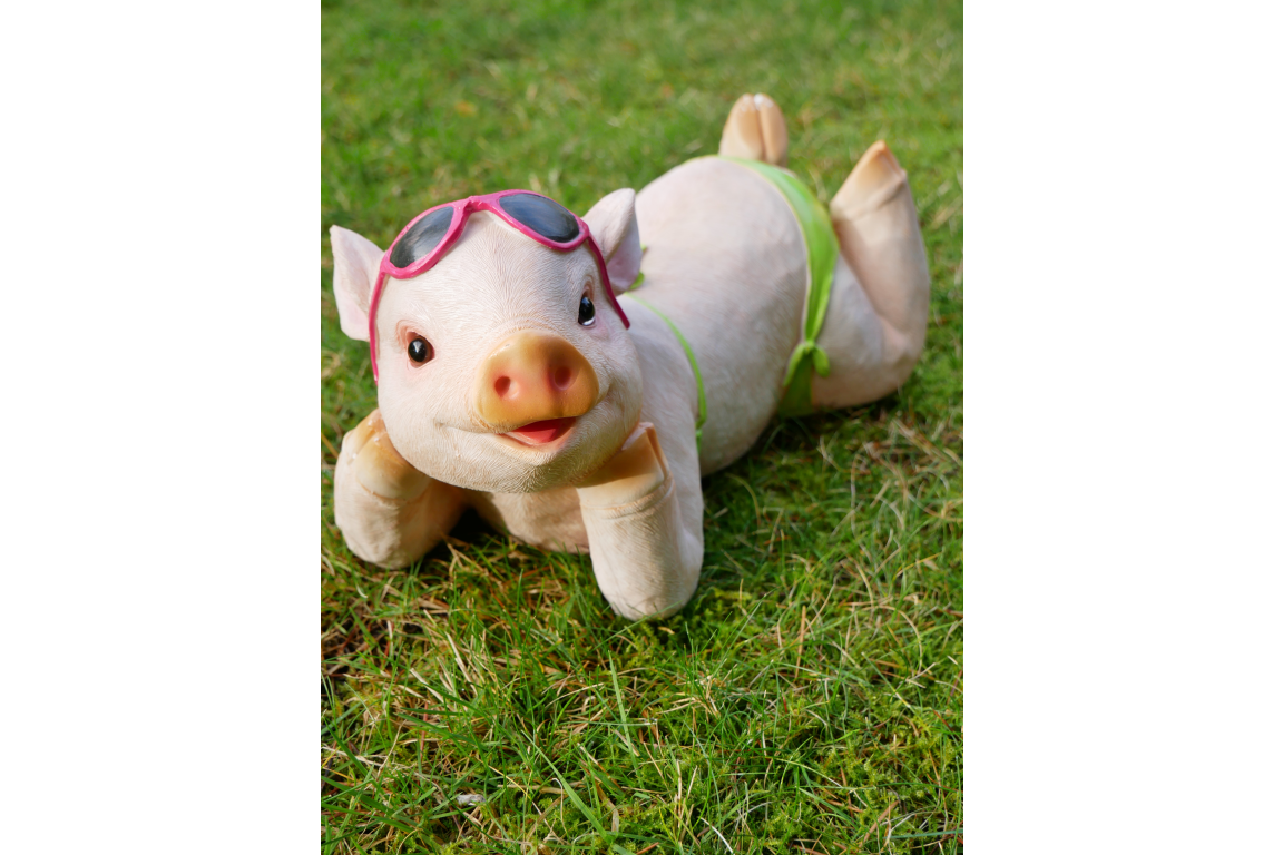 Pig In Bikini