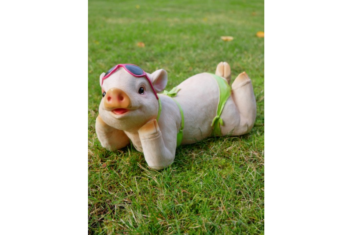 Pig In Bikini